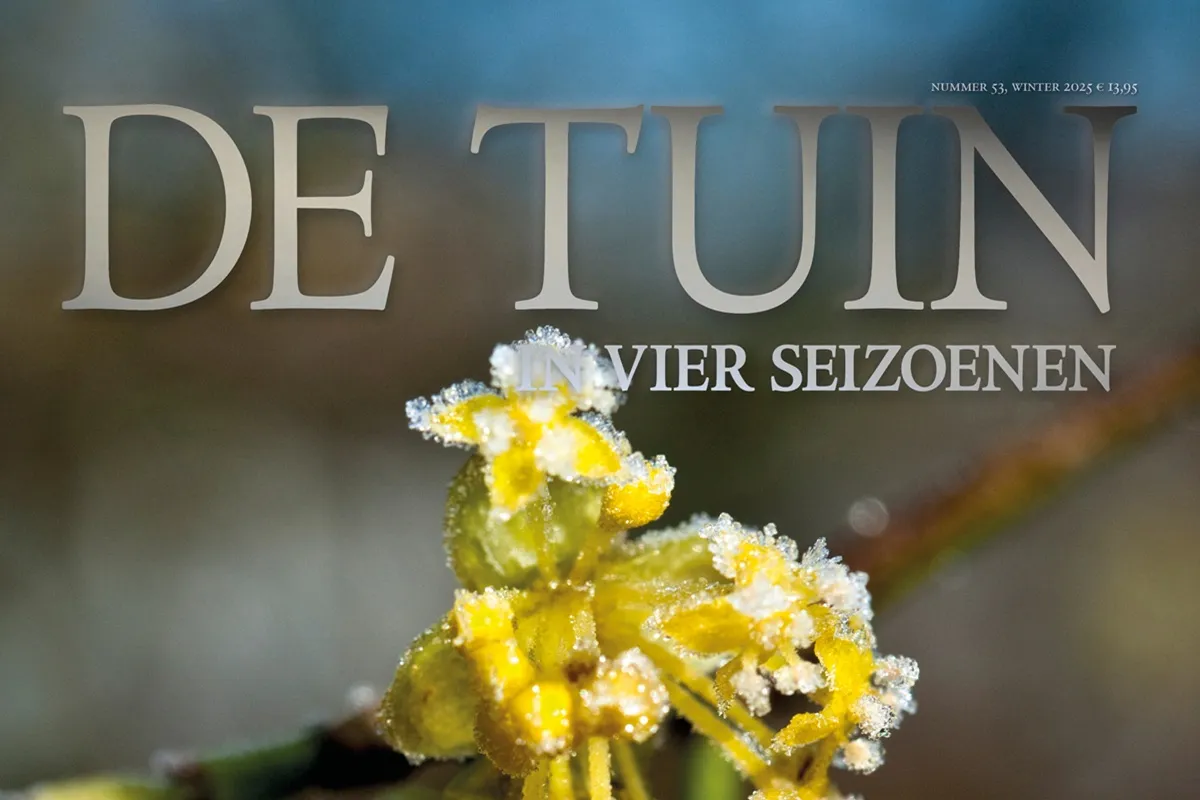 De Tuin in vier seizoenen 53 - Winter 2025