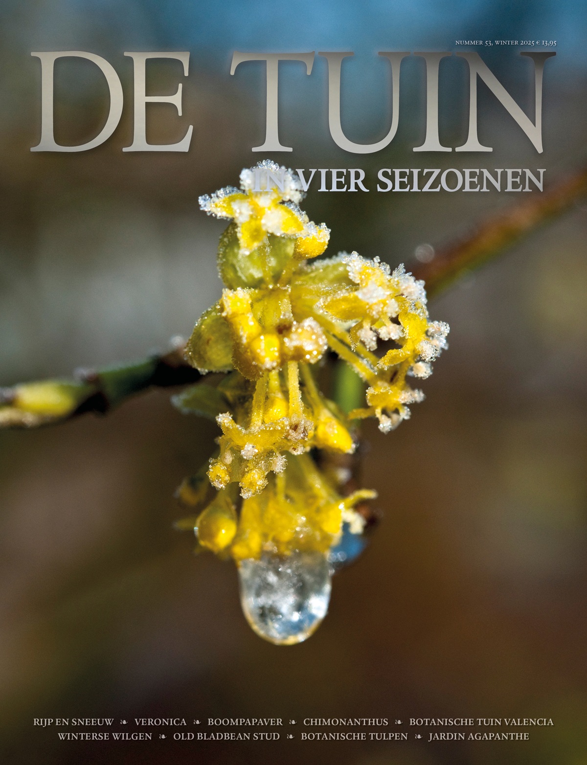 De Tuin in vier seizoenen 53 - Winter 2025