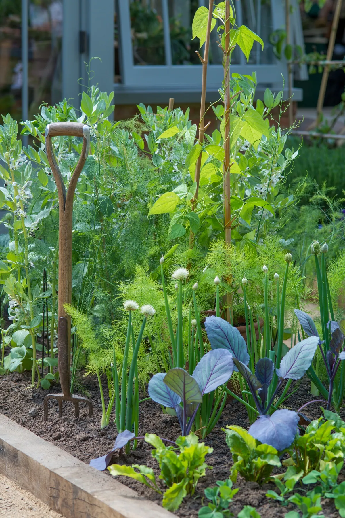 Maayke de Ridder, Chelsea Flower Show - cottagetuin 2.0