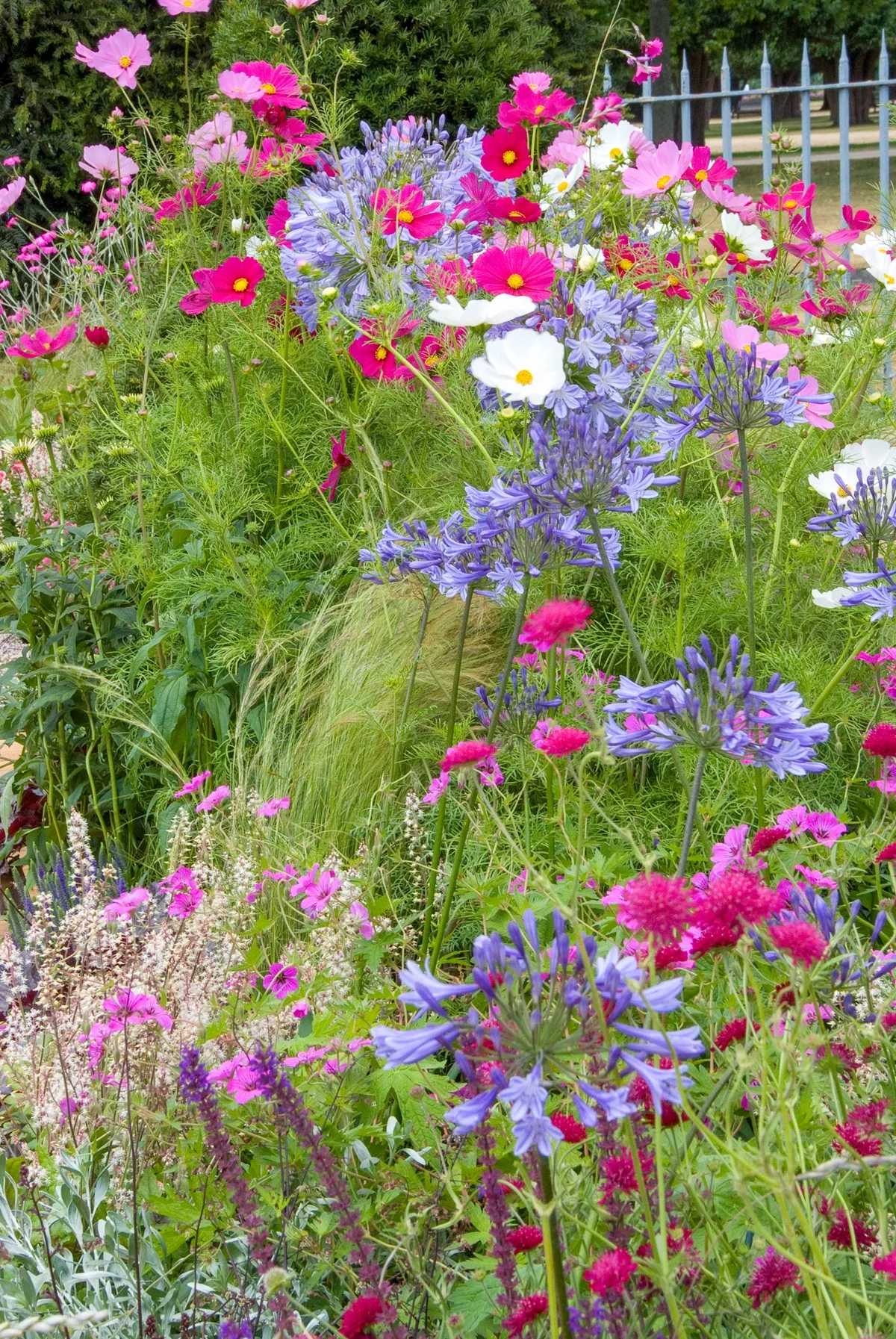 Maayke de Ridder, Hampton Court Flower Show, Jill M W Foxley - niveauverschillen