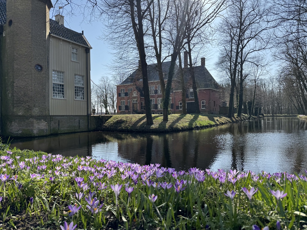 Stinze Stiens Bonte Krokus op Epema State te Ysbrechtum