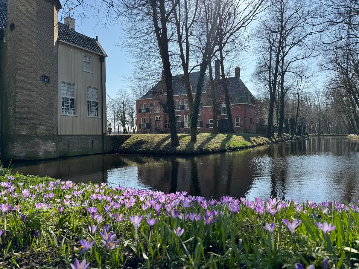 Stinze Stiens Bonte Krokus op Epema State te Ysbrechtum