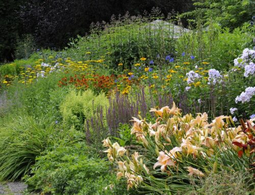 Workshop Beplantingsplan maken