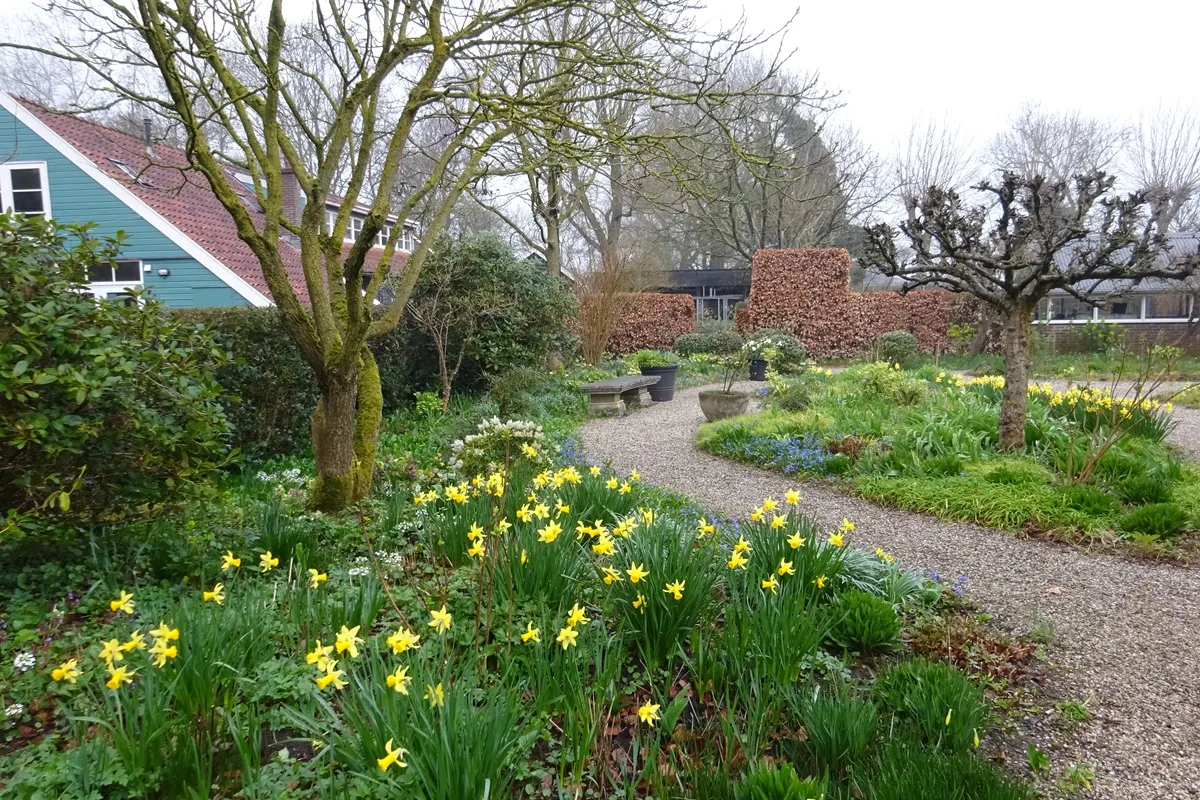 Theetuin Weesp - Bloembollenweekend - De Tuin in vier seizoenen