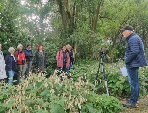 Vroege vogels in de Tuinen Mien Ruys