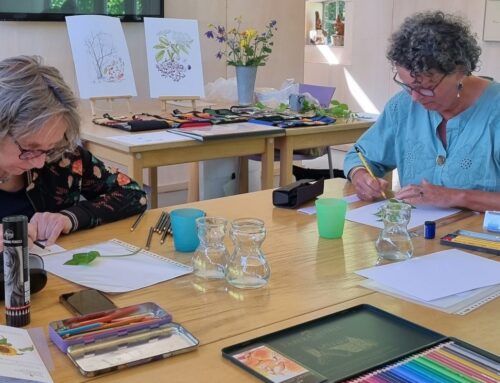 Workshop Botanisch tekenen