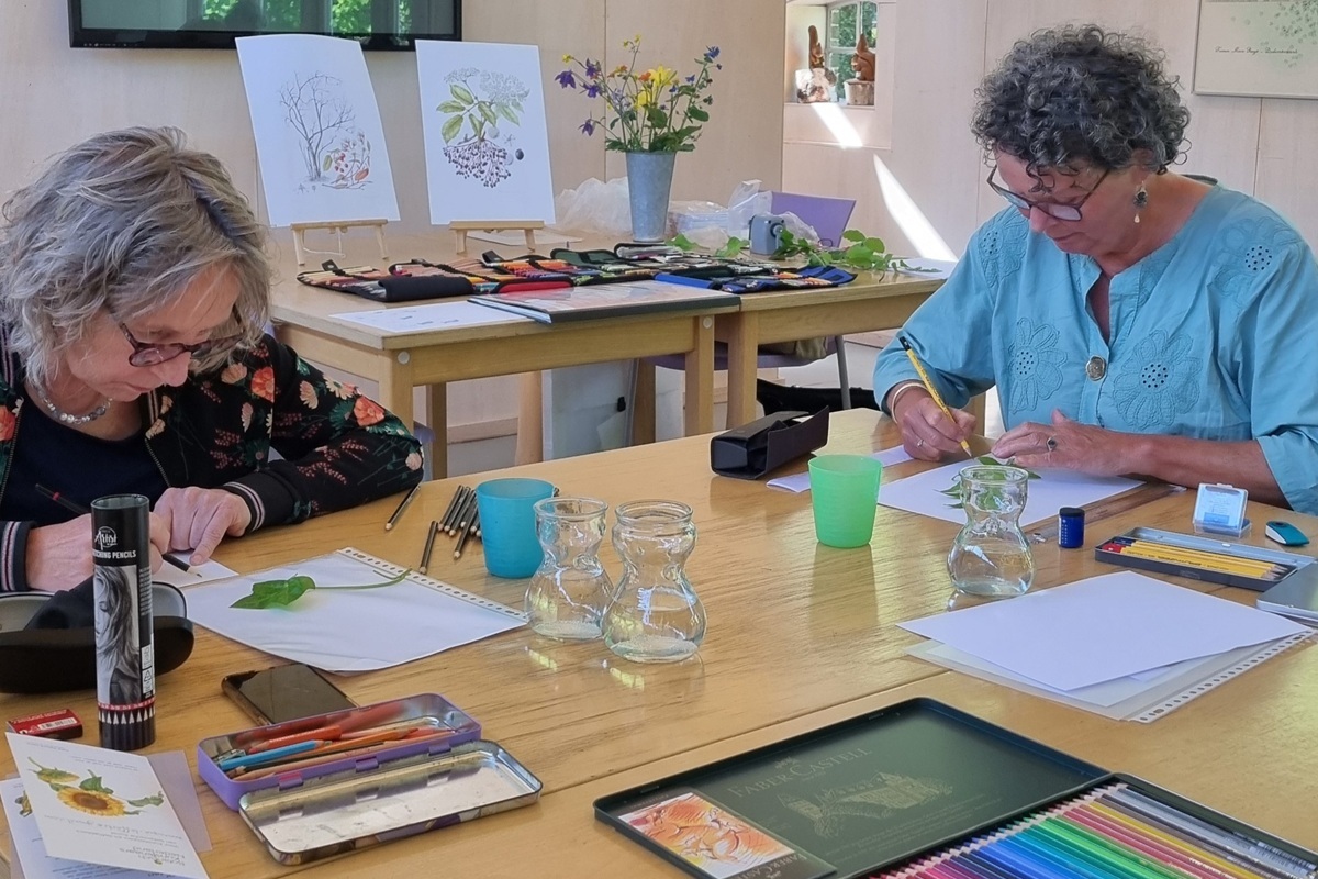 Workshop Botanisch tekenen - Tuinen Mien Ruys - De Tuin in vier seizoenen