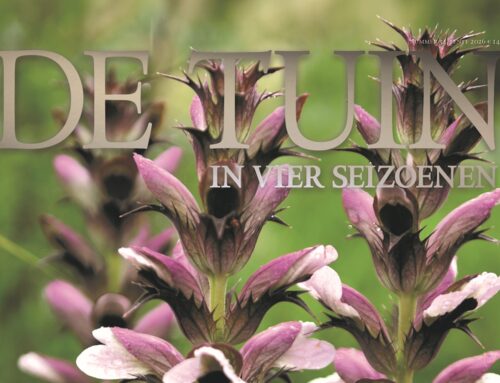 Ons Lentenummer is uit!