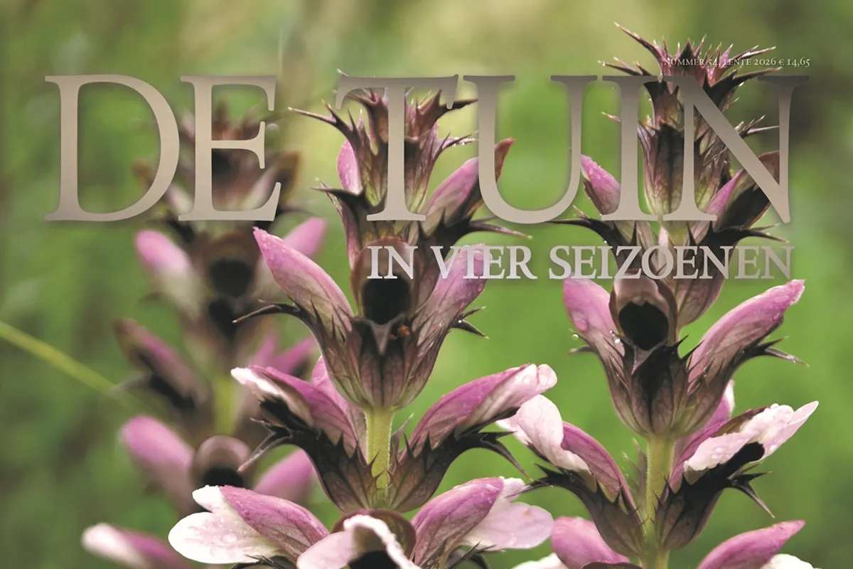 De Tuin in vier seizoenen 54 - Lente 2026