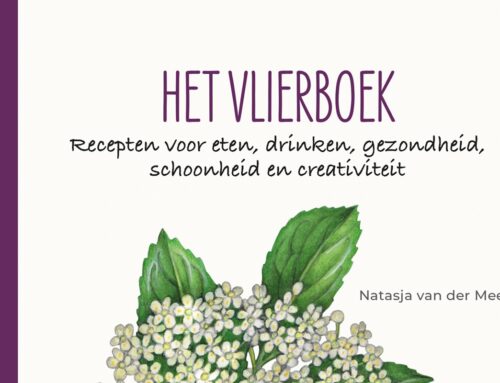 Het vlierboek