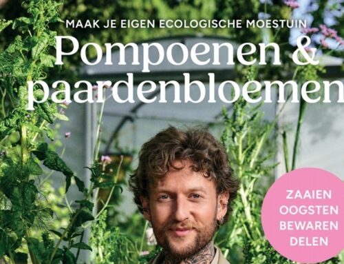 Pompoenen & paardenbloemen  