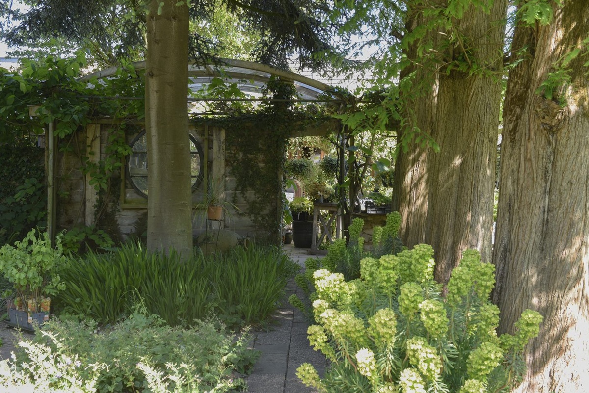 Stadskwekerij Zaltbommel - De Tuin in vier seizoenen 54 - Lente 2026