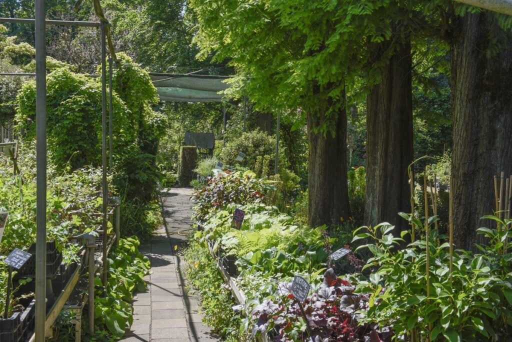 Stadskwekerij Zaltbommel - De Tuin in vier seizoenen 54 - Lente 2026