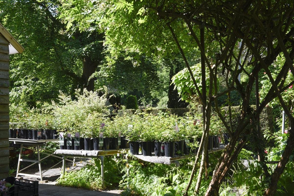 Stadskwekerij Zaltbommel - De Tuin in vier seizoenen 54 - Lente 2026