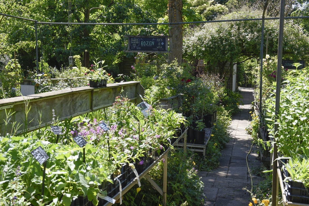 Stadskwekerij Zaltbommel - De Tuin in vier seizoenen 54 - Lente 2026