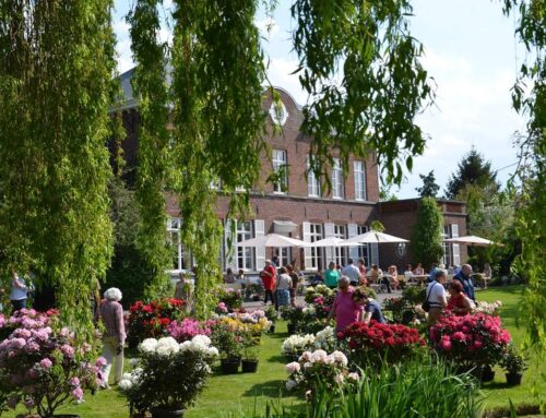 Rododendrons’s en Azalea’s in bloei