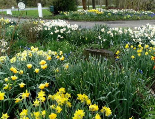 Tuinenroute binnen de Tulpenroute