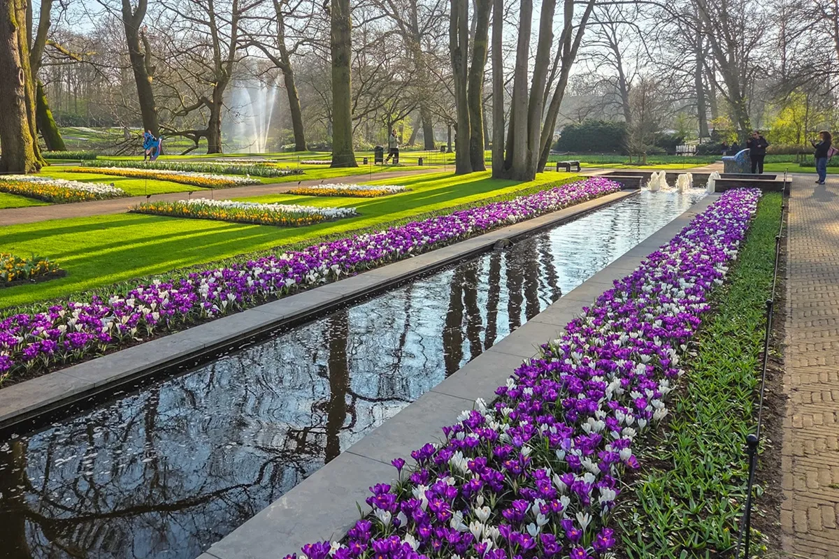 Keukenhof - De Tuin in vier seizoenen