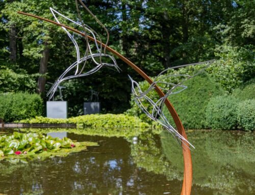 Waar kunst en natuur samenkomen