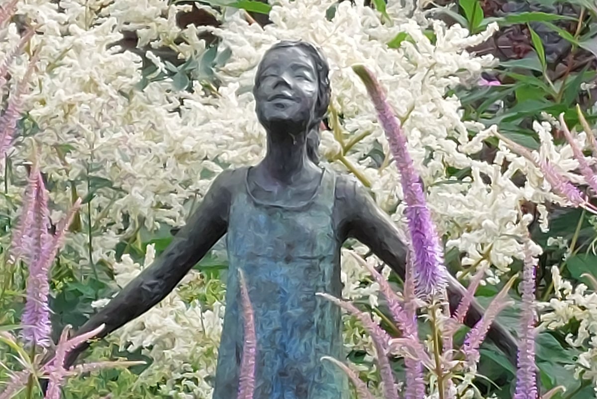 Nazomeren in Niedorp Eefje - De Tuin in vier seizoenen