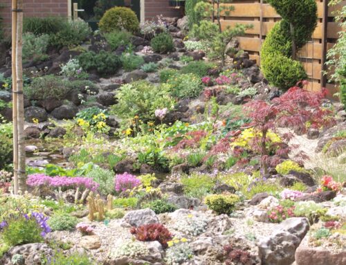 Plantenverkoop voor goed doel