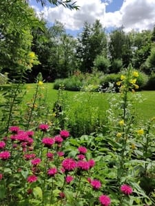Tuin Toer Zundert - De Tuin in vier seizoenen
