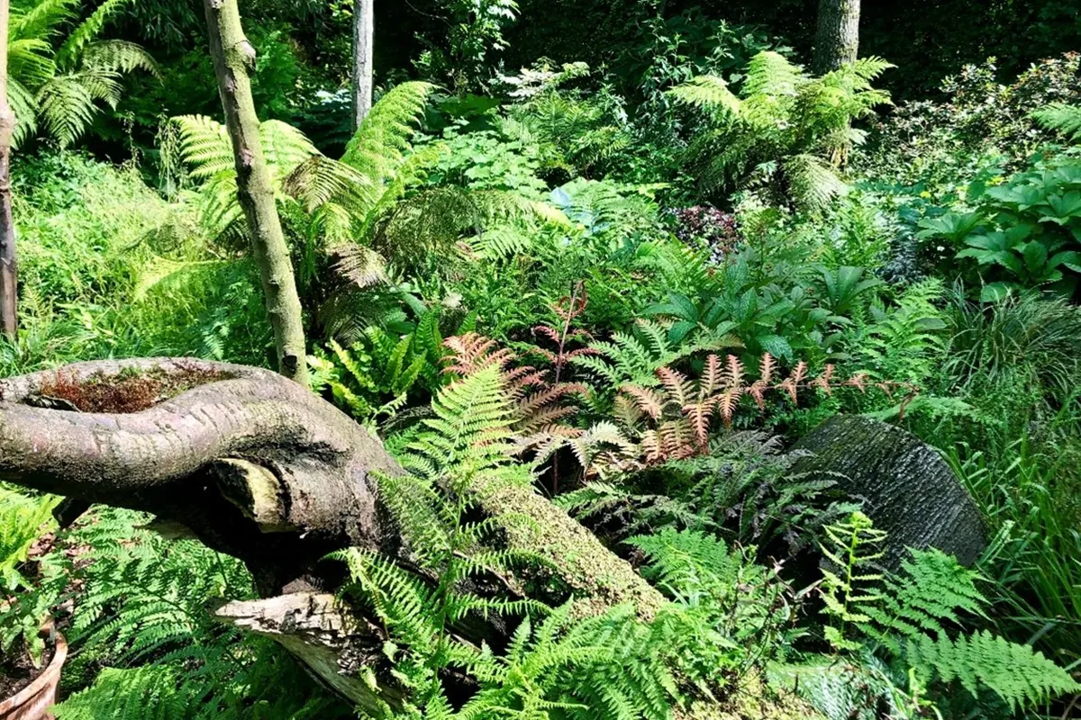 Varentuin Tuingoed Foltz - De Tuin in vier seizoenen