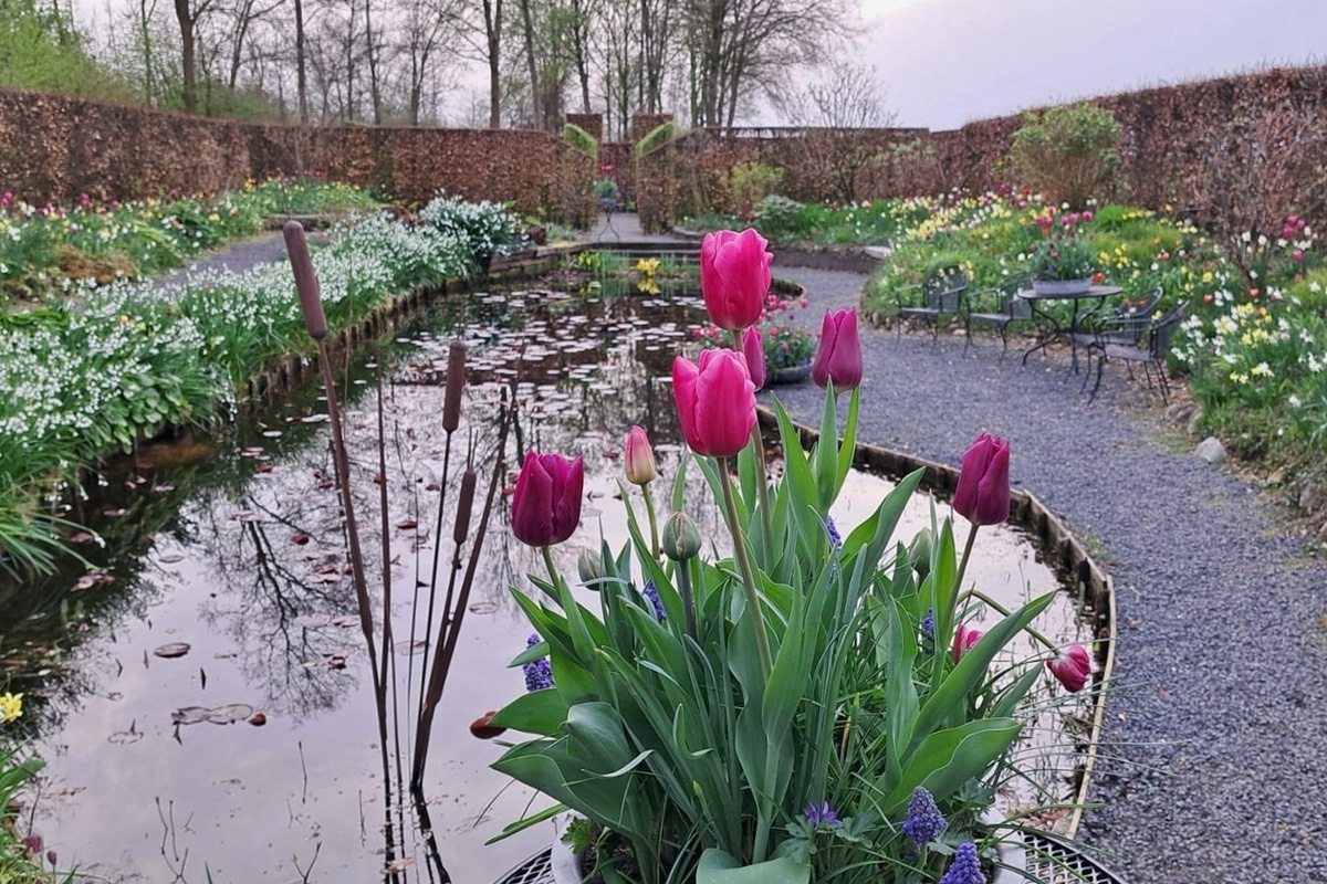tuinfleur Het Tuinpad op – Marathon tuinfleur Het Tuinpad op - Marathon