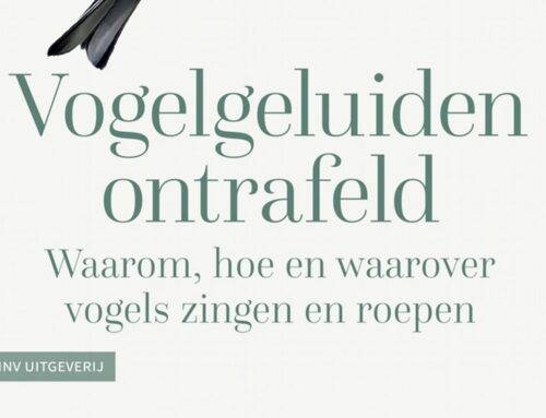 Waarom, hoe en waarover vogels zingen en roepen