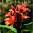 Cover luxe tuinblad