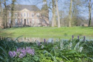 Holwortel en vingerhelmbloem langs de beek in het parkbos van Hackfort. Op de achtergrond het kasteel.