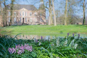 Holwortel en vingerhelmbloem langs de beek in het parkbos van Hackfort. Op de achtergrond het kasteel.