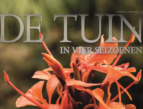 Ons Zomernummer is uit!