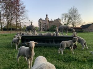 Tuin-Fair Brabant Landgoed Croy