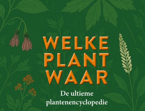 Welke Plant Waar