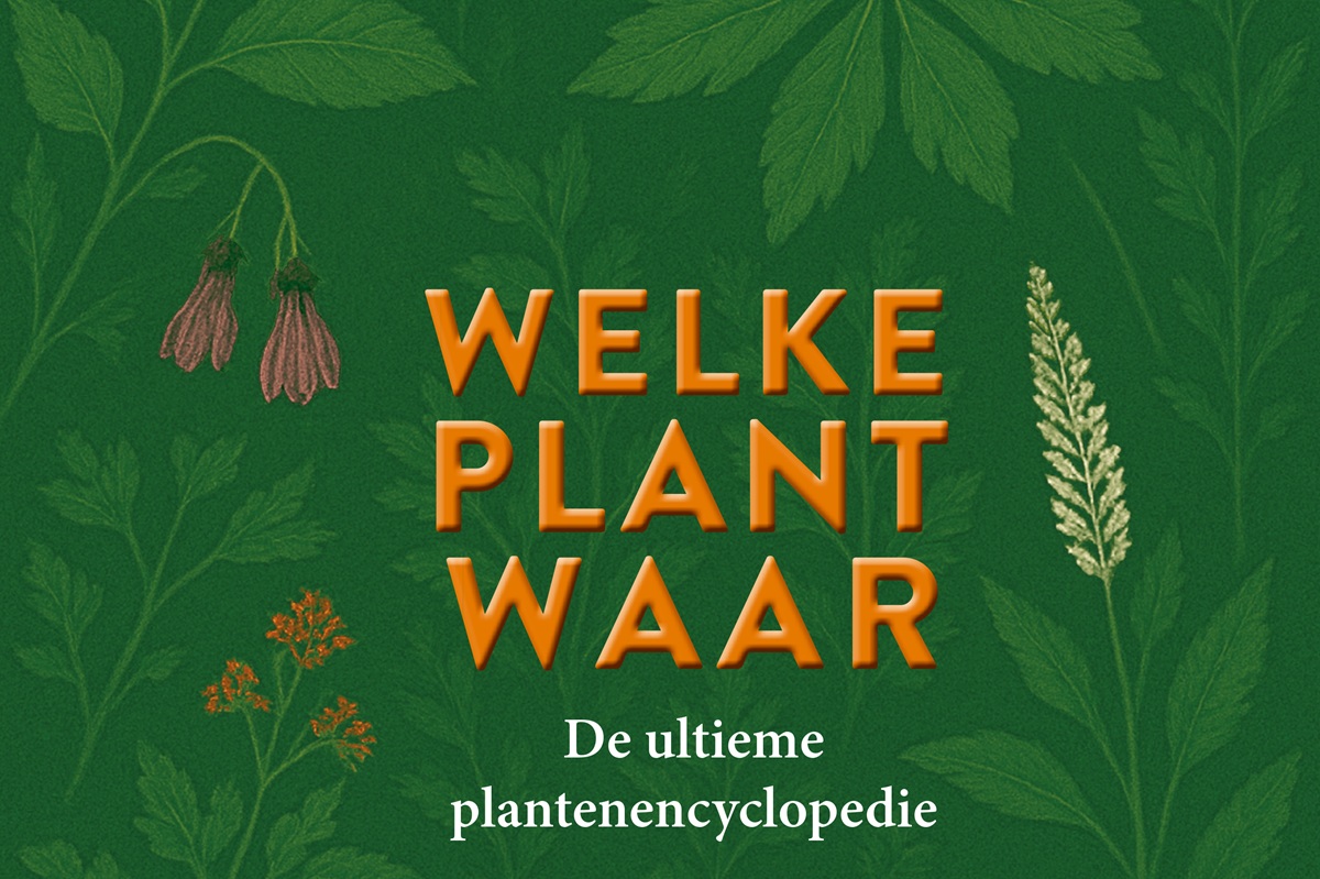 Welke plant waar cover