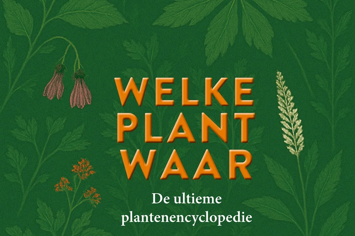 Welke plant waar cover
