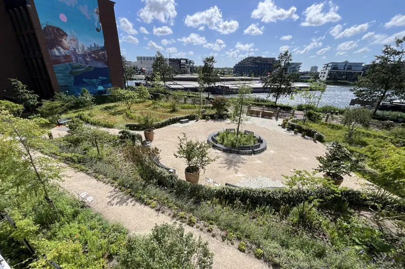 Houthavens Botanique (HB) is een botanisch pocket park in het hart van de Amsterdamse Houthavens.