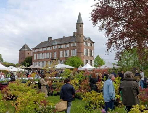 PLANTENFEEST met zeldzame en bijzondere planten