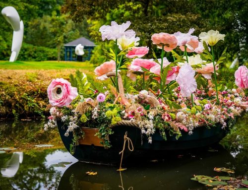 Snijbloemenfestijn ‘Bloemig!’