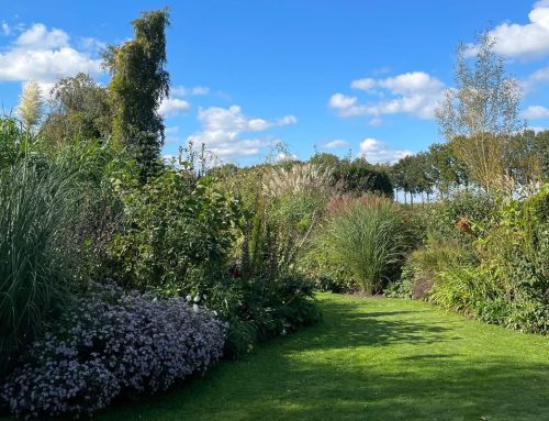 Beleef de laatste open tuindag van het seizoen