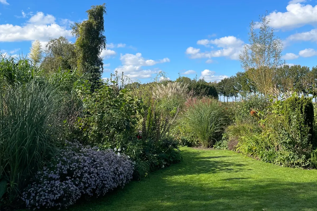 Border in een tuin