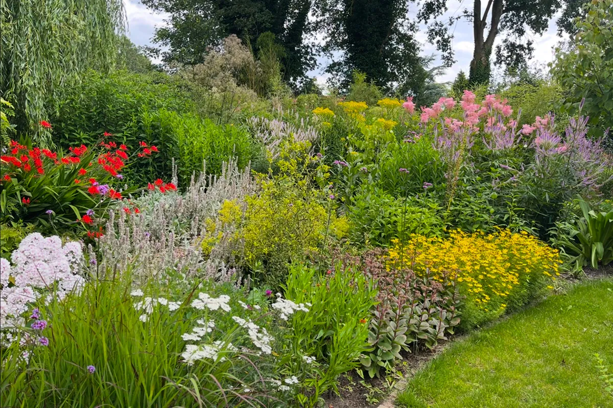 Bloeiende border in tuin