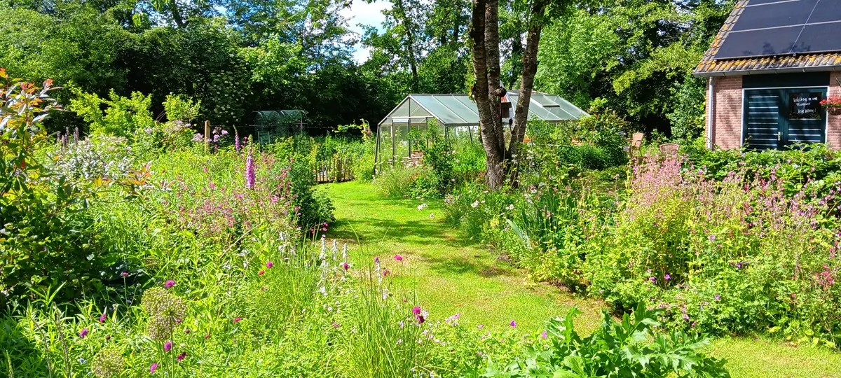 Landelijke tuin met kas