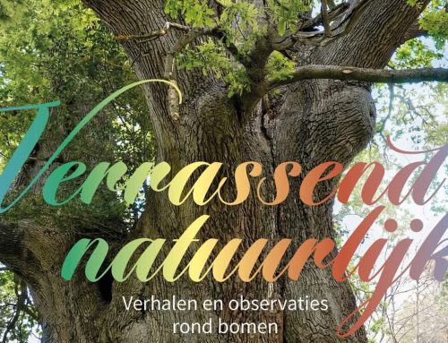Verrassend natuurlijk