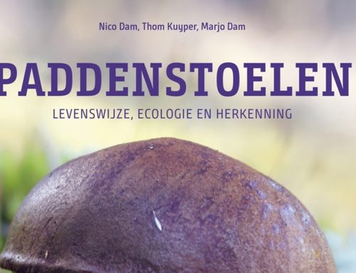 Paddenstoelen