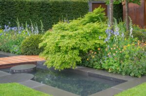 vijver met beplanting