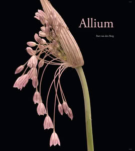 boek over alliums - sieruien