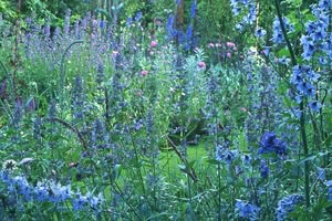 Blauwe tuin van Ton ter Linden