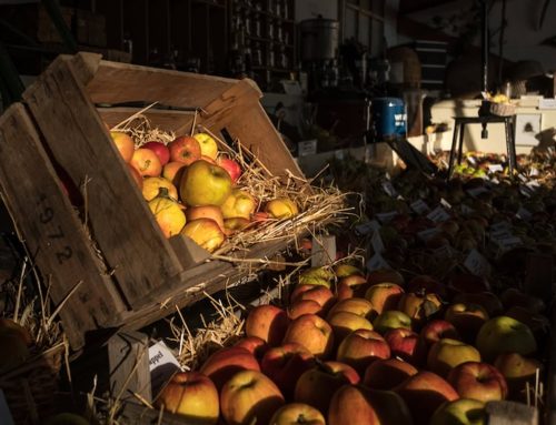Fruitshow ‘Verleden tot Heden’